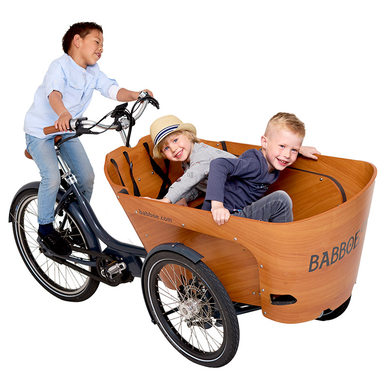 Meander projector tuberculose Babboe - Smartwheels "strong in electric bicycles".